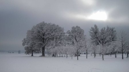 Téléchargez les photos : Un beau paysage blanc d'un champ enneigé par une journée nuageuse - en image libre de droit