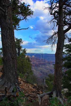 Foto de Las hermosas formaciones geológicas del Parque Nacional del Gran Cañón. North Rim, Arizona, Estados Unidos. - Imagen libre de derechos