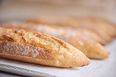 Photo for The fresh assortments of baguette breads on the table in the bakery in a selective focus - Royalty Free Image