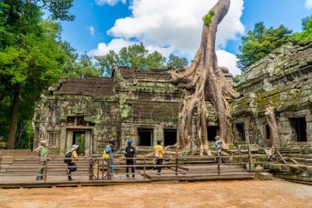 Photo for A group of tourists at Ta Prohm Temple  in Angkor Wat, Cambodia - Royalty Free Image