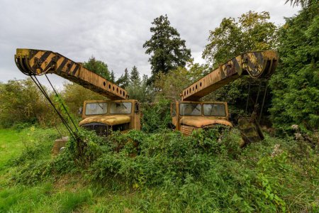 Téléchargez les photos : Les deux vieux camions-grues rouillés couverts de plantes envahies - en image libre de droit
