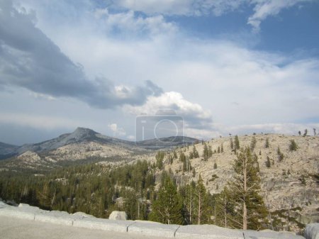 Photo for Yosemite National Park mountains and trees - Royalty Free Image