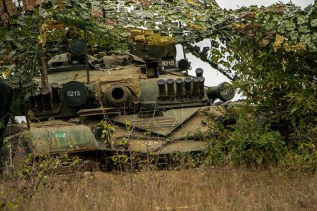Téléchargez les photos : Un char de combat caché dans des arbustes verts dans un champ, couvert de feuilles vertes - en image libre de droit