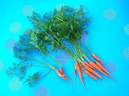 Photo for A high angle shot of freshly harvested small carrots with long green tops - Royalty Free Image