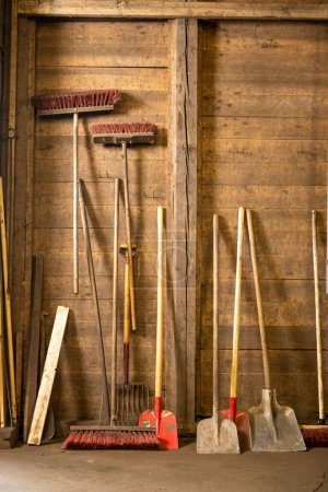 Téléchargez les photos : Différentes pelles avec balais et râteau disposés côte à côte sur un vieux mur en bois dans le garage - en image libre de droit