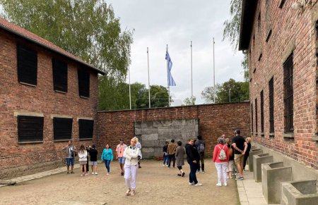 Téléchargez les photos : Nombreux touristes au camp de concentration d'Auschwitz en Pologne pendant la journée - en image libre de droit