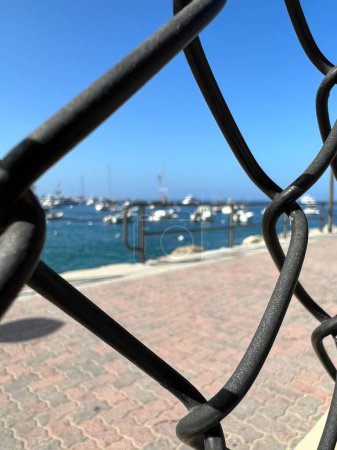 Téléchargez les photos : Vue de l'île de Catalina à travers une clôture - en image libre de droit