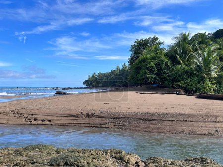 Téléchargez les photos : Un beau paysage d'une plage avec jungle tropicale à Consta Rica - en image libre de droit