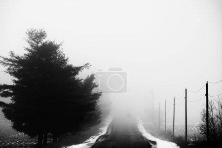 Photo for A grayscale shot of a narrow road in the countryside on a foggy winter day - Royalty Free Image