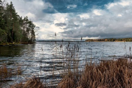 Foto de Una vista impresionante de un río rodeado de bosque denso en un día sombrío en Finlandia - Imagen libre de derechos