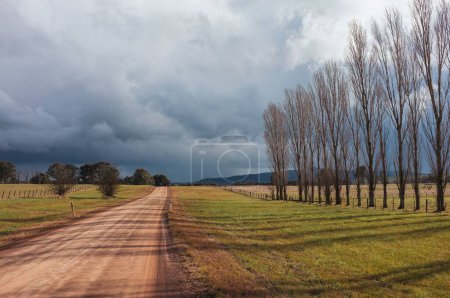 Foto de Camino de tierra país con nubes de tormenta dramáticas en el fondo y álamos que bordean el camino. - Imagen libre de derechos