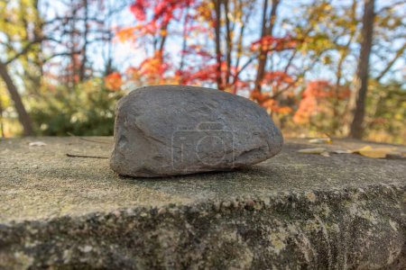 Téléchargez les photos : Une pierre ronde dans le parc de la ville de Cylburn Arboretum avec des arbres colorés en arrière-plan, États-Unis - en image libre de droit