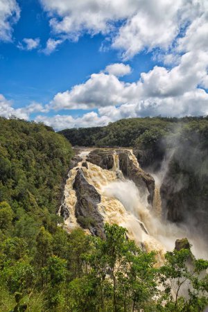 Téléchargez les photos : Barron Falls près de Kuranda dans le Queensland, Australie - en image libre de droit