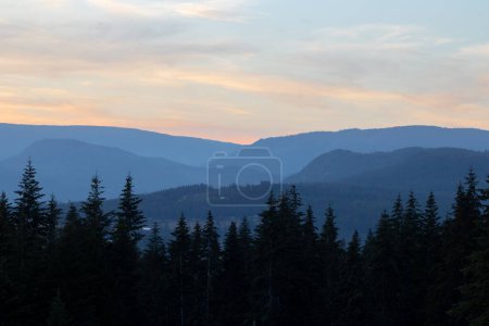 Téléchargez les photos : Une forêt en face de hautes montagnes au coucher du soleil avec un ciel nuageux en arrière-plan - en image libre de droit