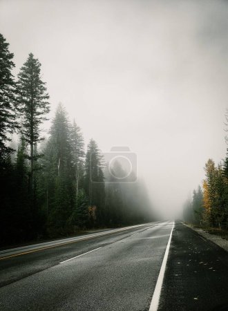 Foto de Una toma vertical de un camino de asfalto a través de un bosque nublado de otoño en Banff, Alberta, Canadá - Imagen libre de derechos