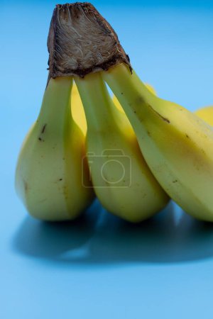 Foto de Un plano vertical de un racimo de plátanos sobre un fondo azul - Imagen libre de derechos