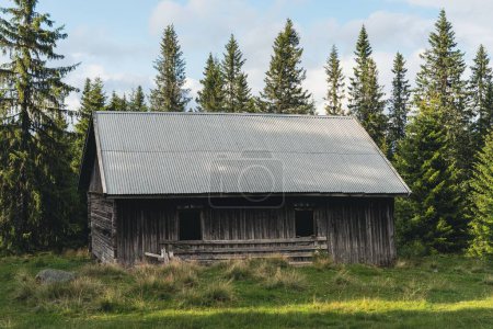 Foto de Una antigua granja con árboles de madera en Toten, Noruega por la mañana - Imagen libre de derechos