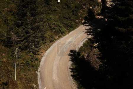 Foto de Un camino rural a través del bosque rodeado de árboles verdes. Alpes, Austria. - Imagen libre de derechos