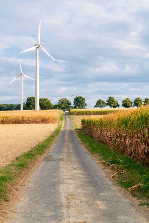 Téléchargez les photos : Une vue aérienne de la route entourée de cors et moulins à vent en pleine croissance - en image libre de droit
