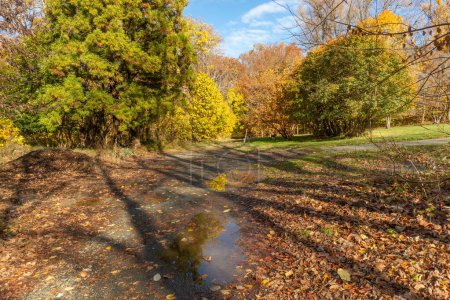 Foto de El parque de la ciudad Cylburn Arboretum en un día soleado de otoño con un cielo azul en el fondo, Estados Unidos - Imagen libre de derechos