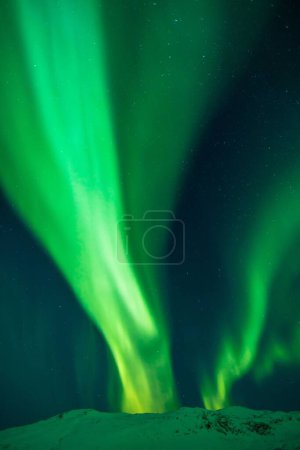 Foto de Un disparo vertical de aurora verde brillante luces del norte sobre las montañas en Noruega - Imagen libre de derechos