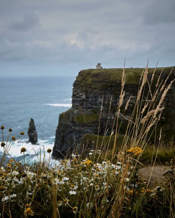 Téléchargez les photos : Une vue verticale panoramique sur les falaises à feuilles persistantes de Moher en Irlande par une journée sombre - en image libre de droit