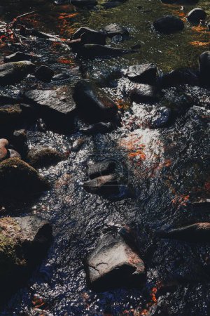 Téléchargez les photos : Une vue de dessus de la rivière Olterudelva qui coule à travers des roches glissantes à Toten, Norvège à la fin de l'été - en image libre de droit