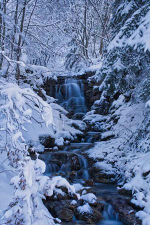 Foto de Una cascada congelada en un bosque cubierto de nieve - Imagen libre de derechos