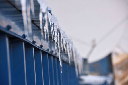 Téléchargez les photos : Un gros plan de glaçons gelés accrochés à une clôture en bois bleu - en image libre de droit