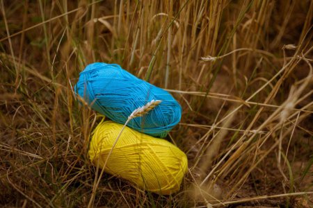 Téléchargez les photos : Un gros plan de fils bleus et jaunes sur l'herbe - en image libre de droit