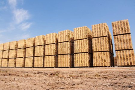 Foto de Una pila de paletas de madera en un almacén de almacenamiento de carga con un cielo azul nublado en el fondo - Imagen libre de derechos