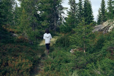 Téléchargez les photos : Une fille marche sur un sentier entouré d'une forêt à feuilles persistantes de Tjuvaasen à Oppland, Norvège - en image libre de droit
