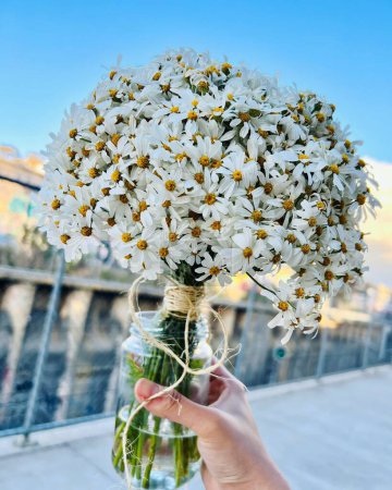 Photo for A vertical shot of human hand holding a bunch of beautiful white daisies in a jar - Royalty Free Image