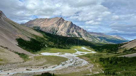 A beautiful view of the Brazeau Loop Trail in Jasper National Park, Alberta, Canada.