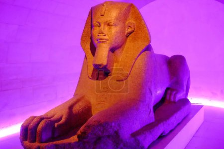 Téléchargez les photos : Le Grand Sphinx de Tanis en illumination violette. Musée du Louvre, Paris, France. - en image libre de droit