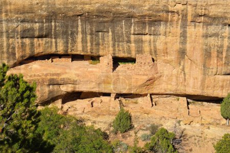 Téléchargez les photos : Logements de falaise du parc national Mesa Verde. - en image libre de droit