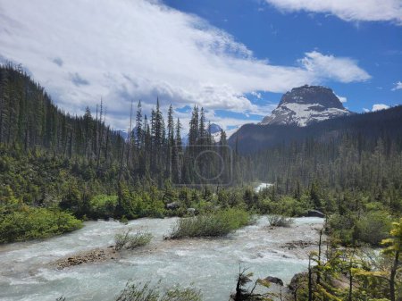 Foto de El río Athabasca fluye a través de un bosque verde en el Parque Nacional Jasper, Alberta, Canadá - Imagen libre de derechos