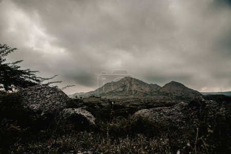 Téléchargez les photos : Une vue sombre des montagnes au loin et des plantes dans l'obscurité sous les nuages sombres - en image libre de droit