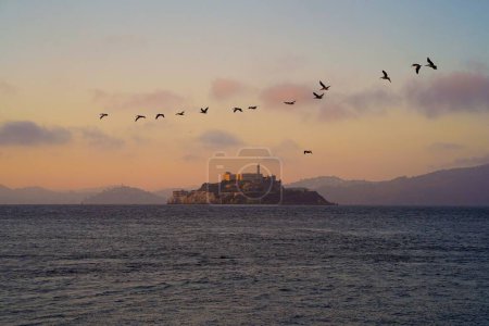 Téléchargez les photos : Un beau cliché de proies d'oiseaux volant au-dessus de la mer avec un fond de bâtiment sur une colline - en image libre de droit