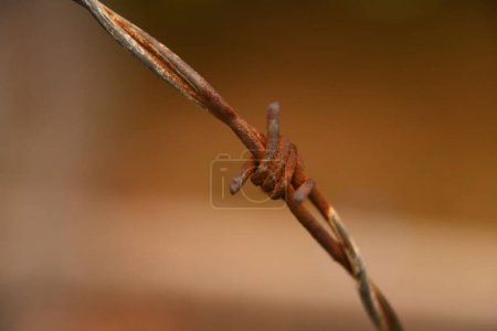 Foto de Un primer plano de un eslabón de una cerca oxidada de alambre de púas - Imagen libre de derechos