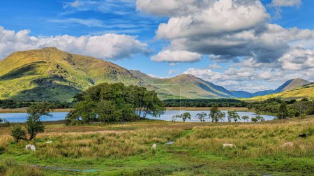 Foto de Una hermosa vista del lago cerca de las montañas en Argyll, Escocia - Imagen libre de derechos