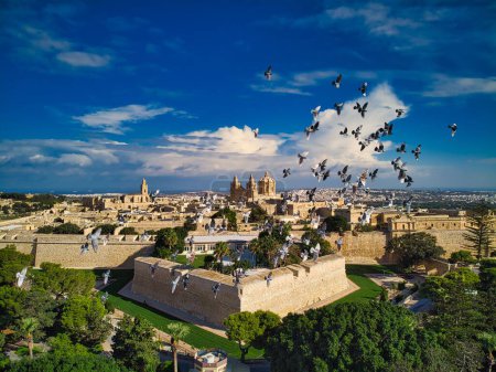 Téléchargez les photos : Vue aérienne du troupeau de colombes devant la vieille capitale de Mdina la ville silencieuse et médiévale de Rabat Malte - en image libre de droit