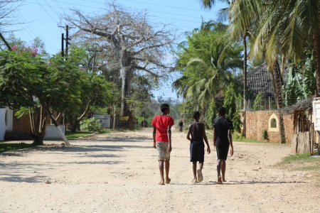 Foto de Tres niños africanos caminando por el camino con árboles y palmeras a los lados en Ukunda, Kenia - Imagen libre de derechos