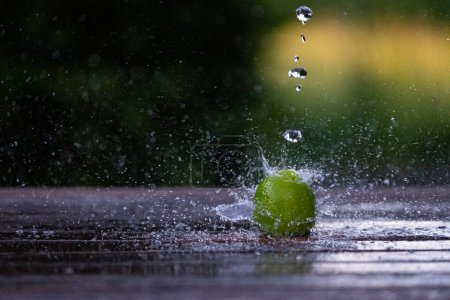 Photo for A closeup shot of a lime splashing onto a wet surface - Royalty Free Image