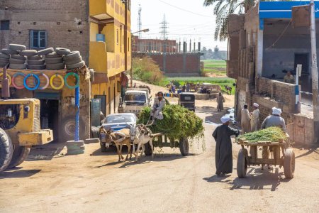 Foto de Una vista del carro del burro y la vida en la calle en Luxor, Egipto - Imagen libre de derechos