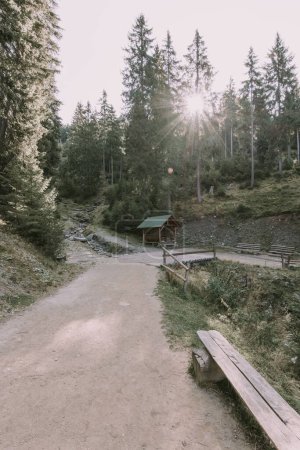 Foto de Un sendero en un bosque en las montañas Cárpatos - Imagen libre de derechos