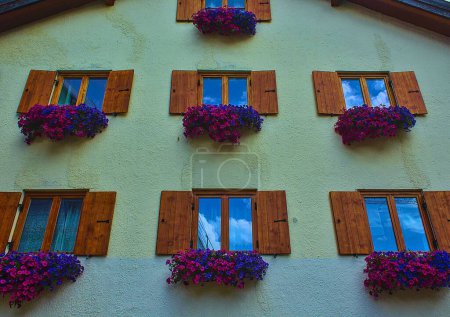 Téléchargez les photos : Un plan à angle bas de fenêtres en bois décorées de fleurs roses et violettes - en image libre de droit