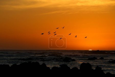 Foto de Una puesta de sol pintoresca sobre el mar, fresco para el fondo - Imagen libre de derechos