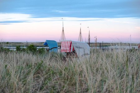 Téléchargez les photos : La vue des chaises de repos est cachée derrière la grande herbe sauvage du Schleswig - en image libre de droit