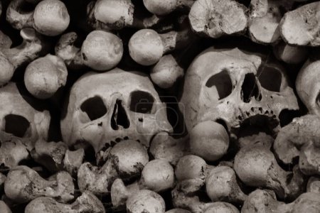 Téléchargez les photos : Les vrais crânes et os humains dans la chapelle catholique ossuaire de Sedlec sous l'église cimetière de la Toussaint à Kutna Hora en République tchèque - en image libre de droit